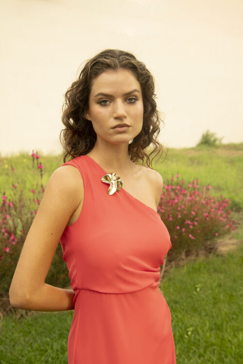 DSC_1560-500x750